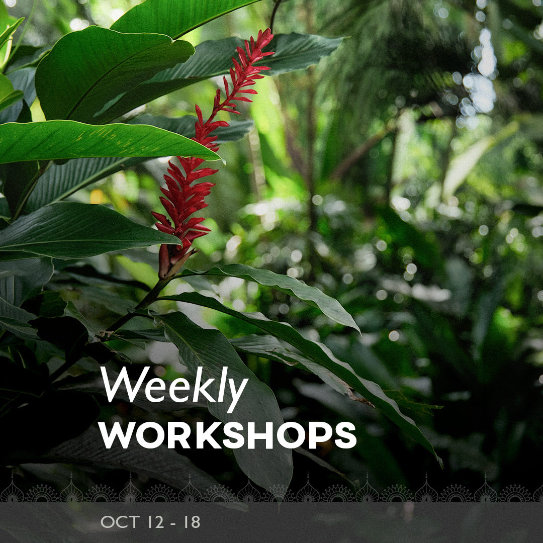 Voice, Raga & Dhrupad: Introduction to the Art of Indian Classical Singing w/ Dhani Gundecha — The Yoga Barn · Ubud, Bali · Bali