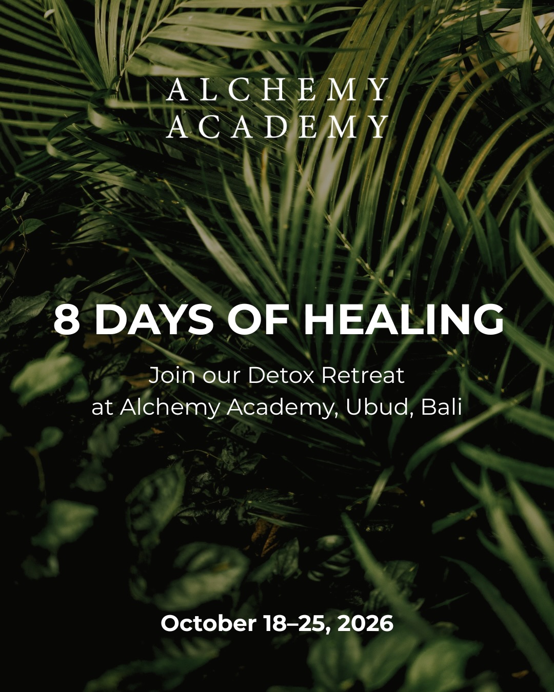 8-Day Alchemy Detox Retreat — Alchemy Academy · Ubud, Bali · Bali